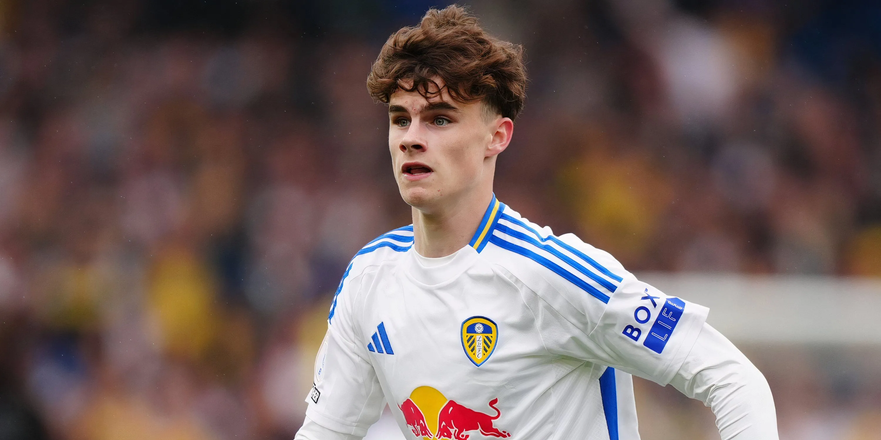 Harry Gray trong màu áo Leeds United