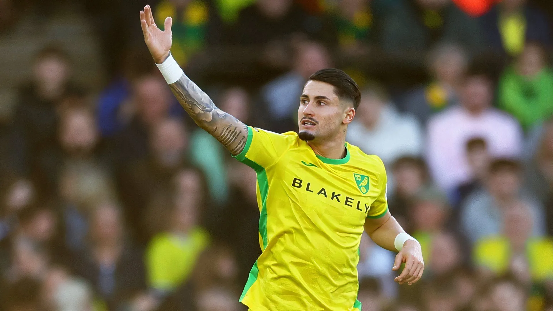 Borja Sainz thi đấu cho Norwich City ở Giải Hạng nhất Anh