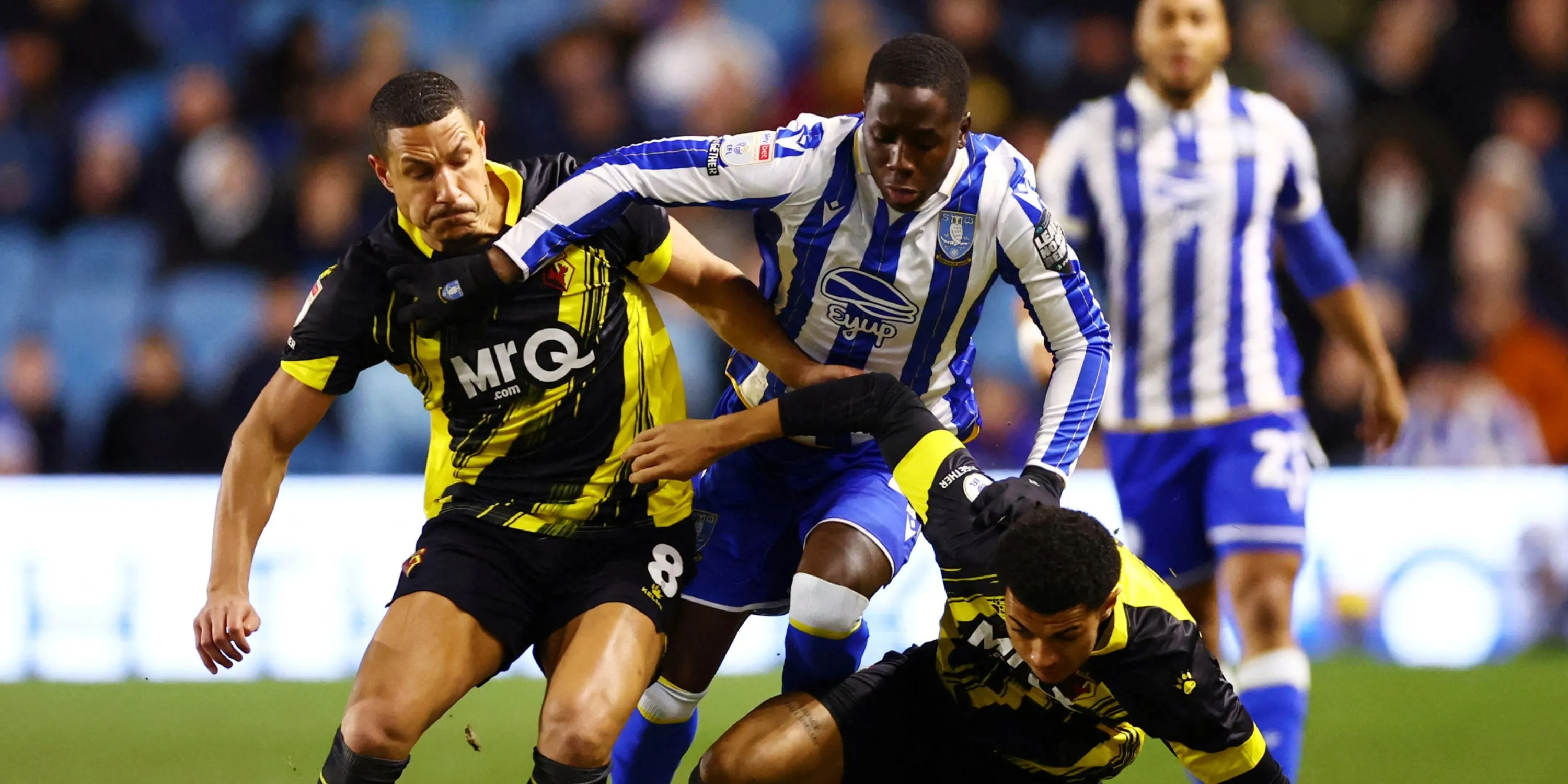 Djeidi Gassama trong màu áo Sheffield Wednesday tại Championship, nguồn tin chuyển nhượng