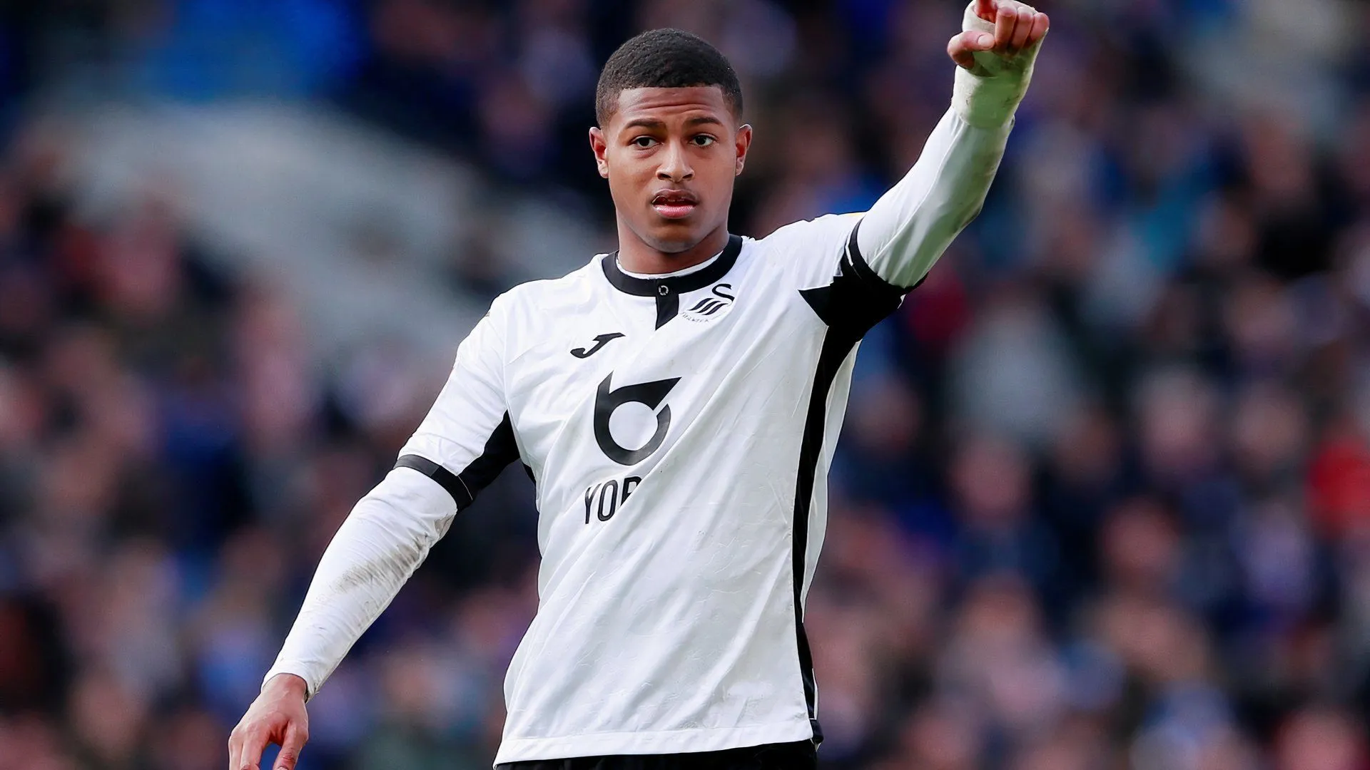 Hình ảnh Rhian Brewster ăn mừng bàn thắng trong màu áo Swansea City, nơi anh từng có phong độ ấn tượng