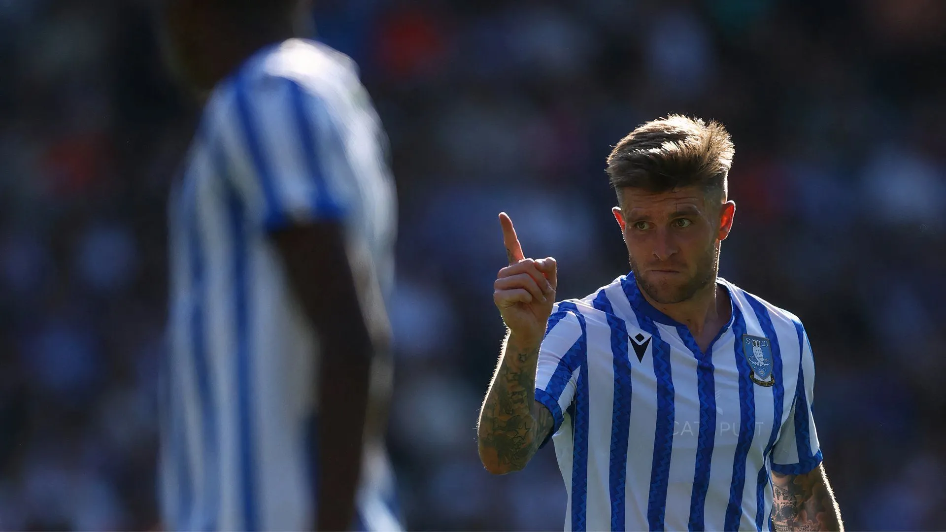 Josh Windass thi đấu cho Sheffield Wednesday, mục tiêu chuyển nhượng của Wrexham