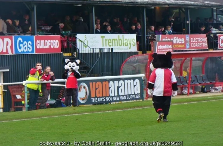 Linh vật K.C. Kat của CLB Woking FC