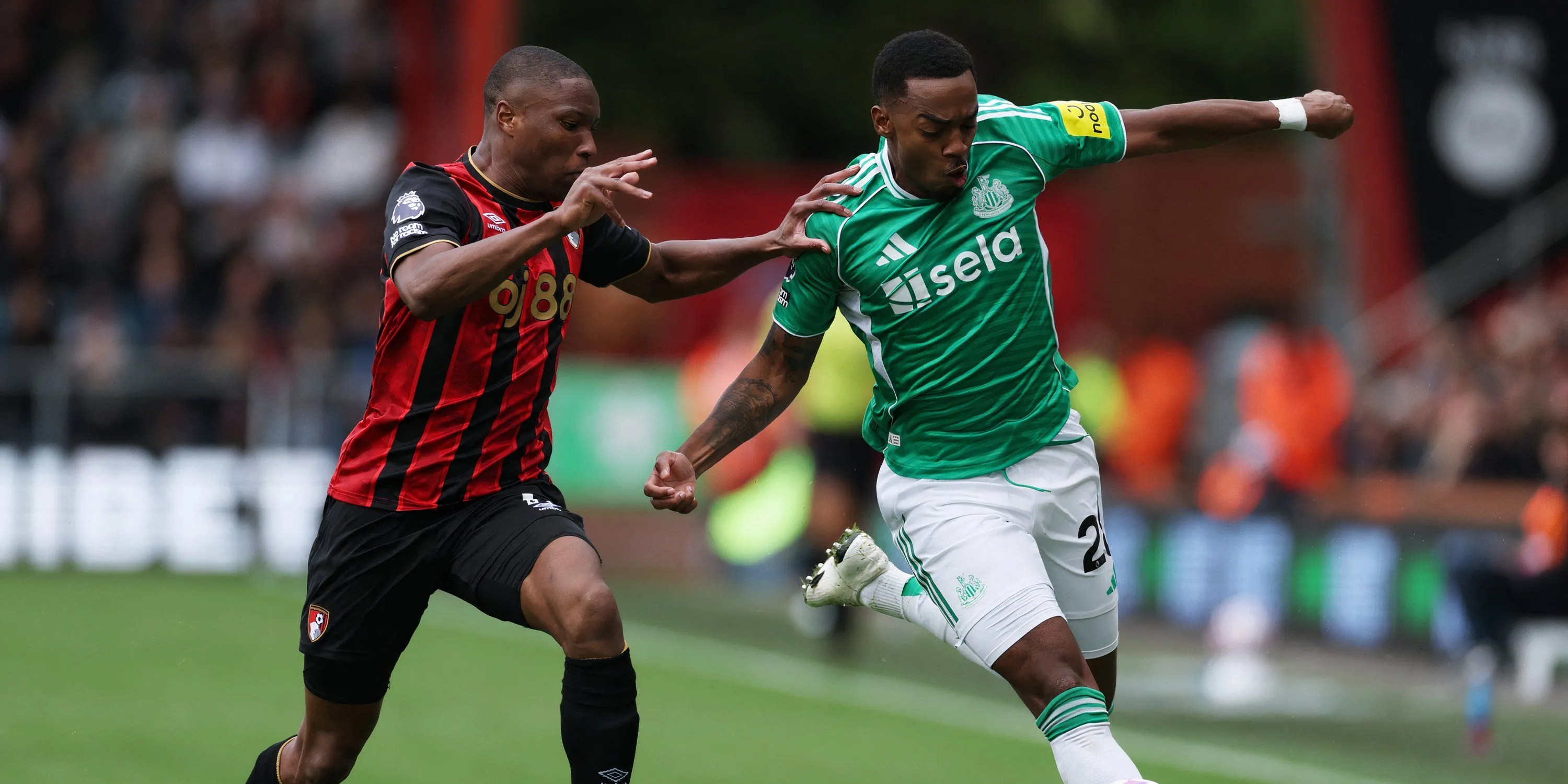 Tiền vệ Joe Willock của Newcastle